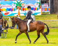 MVS - Show Horses - Ring 2 - 22.03.2025