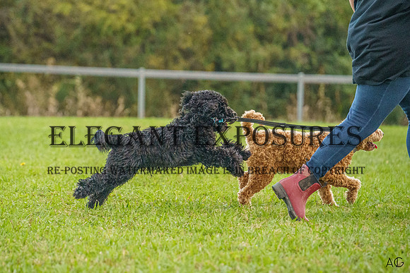 _AJG6329