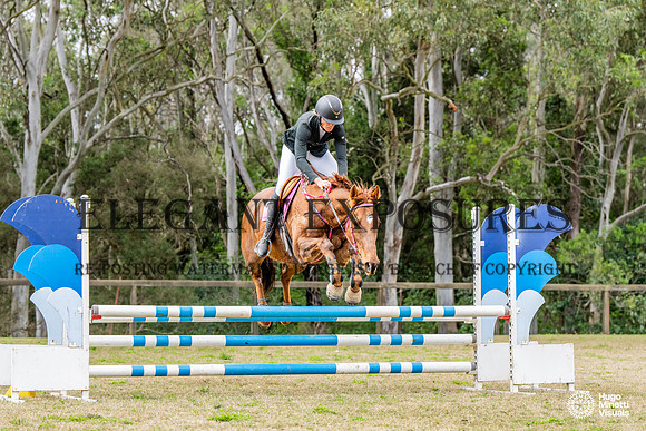 HM_7617