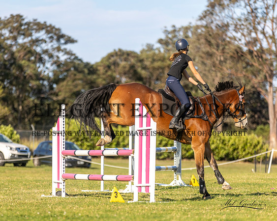 MKG_7784