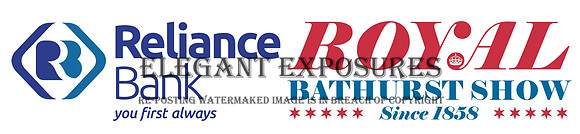 RBS Watermark