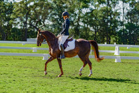 SM-DSC01542