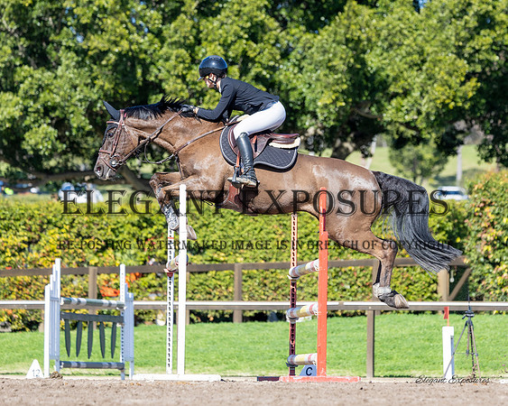 Ma4-4918