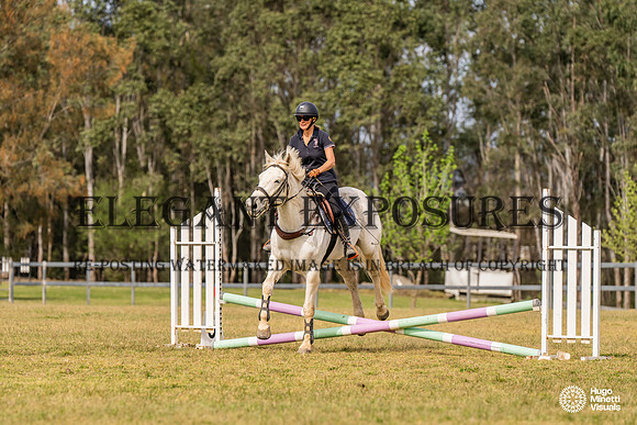 HM_1318