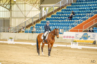 FEI Young Rider Individual Test - QSEC - 20.07.2024