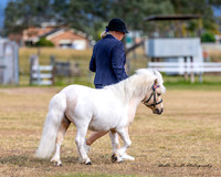 MAS_0618-2