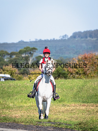 NYK_0756