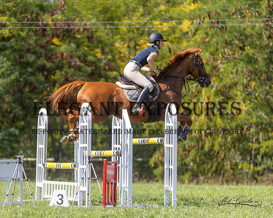 MKGX4545