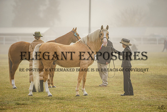 _AJG2882