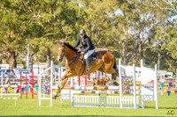 Nowra Show - Showjumping - 07.02.2025