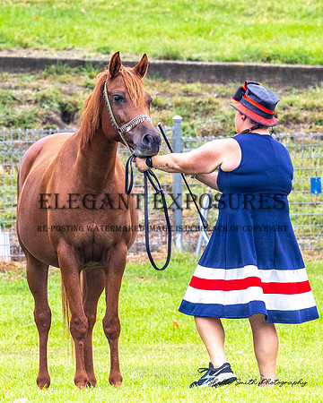 MAS_5135