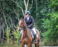 OLS_0377