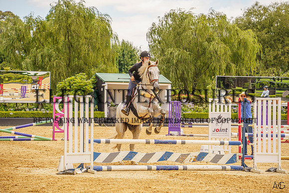 _AJG2019