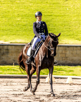 Dressage