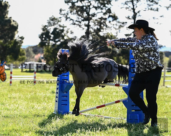 RII_2512