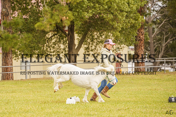 _AJG7539