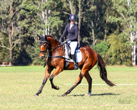 Equestriad - Dressage - 17.05.2025