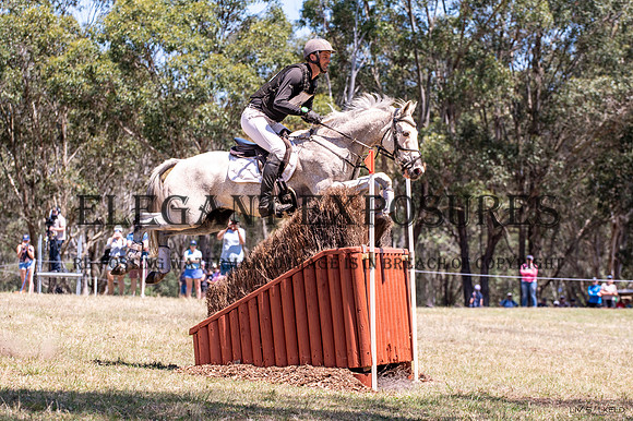 OLS_4199