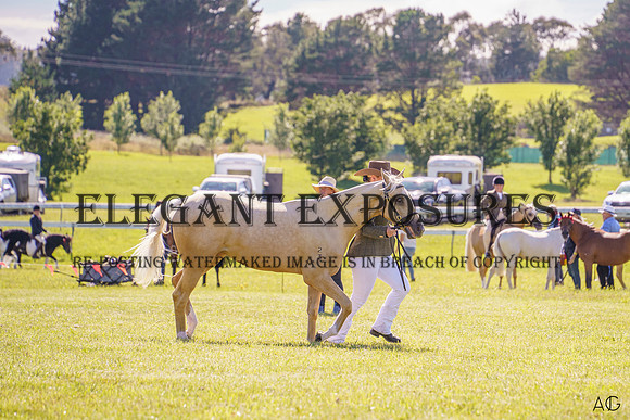 _AJG4817