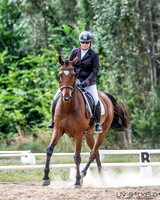 OLS_0364
