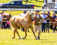 Bowral Show - Hack Ring 1 -  Sun 12.01.2025