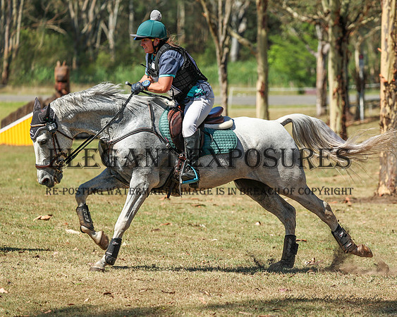 MAS_6080(1)