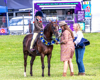 Show Horses - Friday 21.03.2025