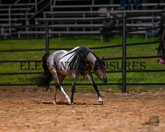 R11_0273