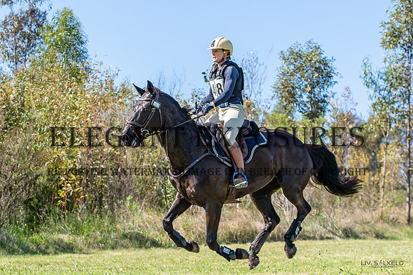 OLS_0948