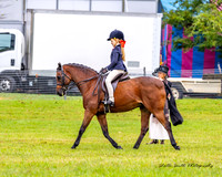 MVS - Show Horses - Ring 4 - 22.03.2025