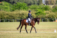 OLS_1243