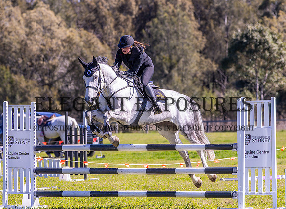KMS-17