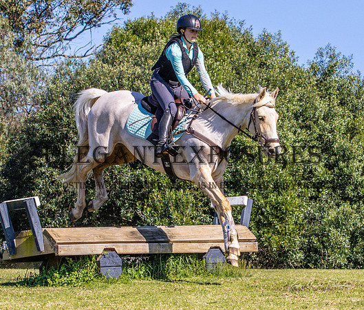 KMS-56