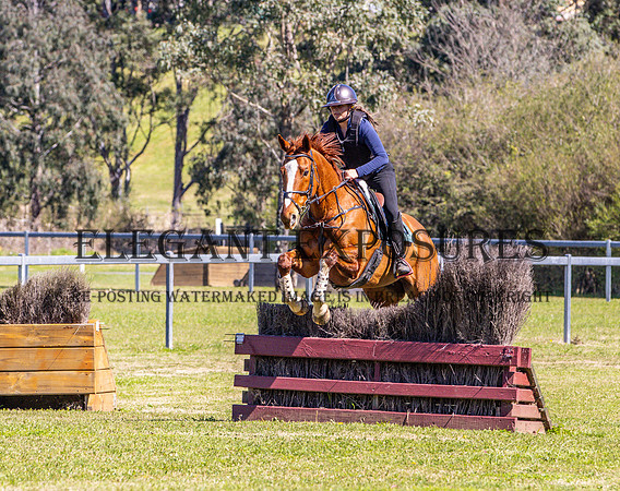 KMS-40