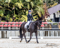 WP - Sat - Dressage CT80