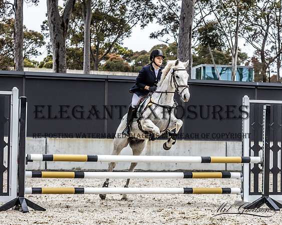 MKG_1579