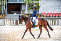 WP - Sat - Dressage CT95
