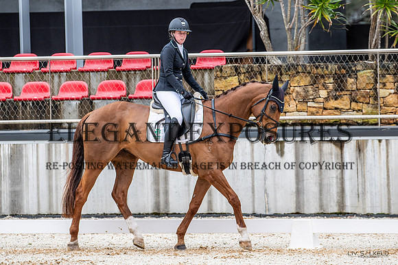 OLS_4157