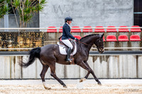WP - Sat - Dressage CT2*