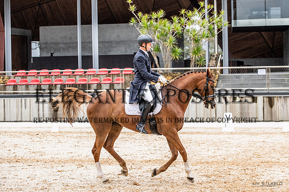OLS_4908