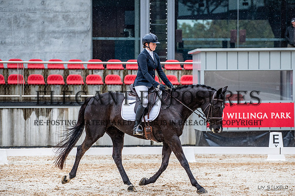 OLS_5311