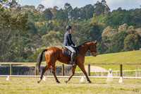 Syd Evt @ SIEC - Dressage - 06.09.2025