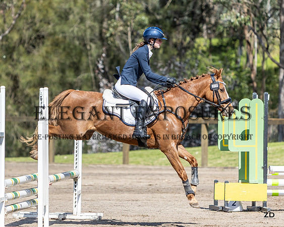 ZJD-8768