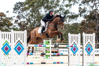 Show Jumping