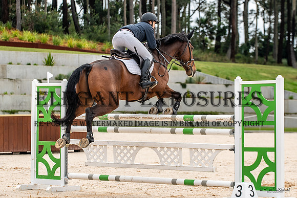 OLS_6276