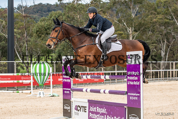 OLS_6284