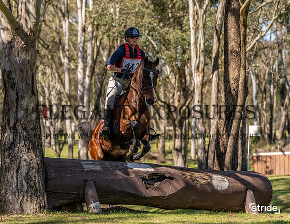 LMW-1101