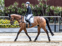 WP - Sat - Dressage CT1*