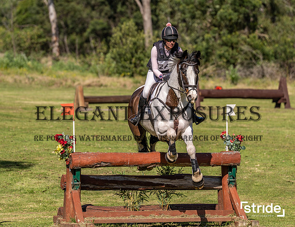 LMW-2098