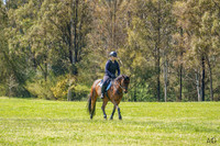 _AJG5408